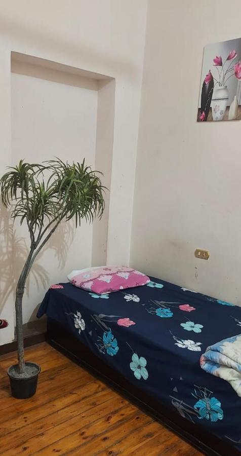 Grand Safari Hostel Каїр Екстер'єр фото